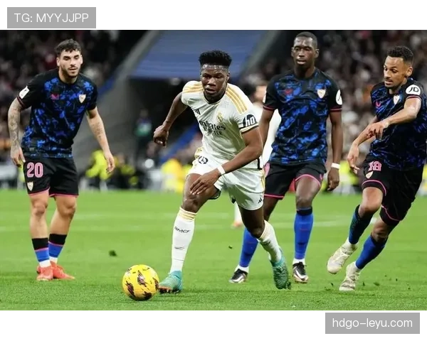 楚阿梅尼伤情影响法国队备战，未来赛事前景引关注