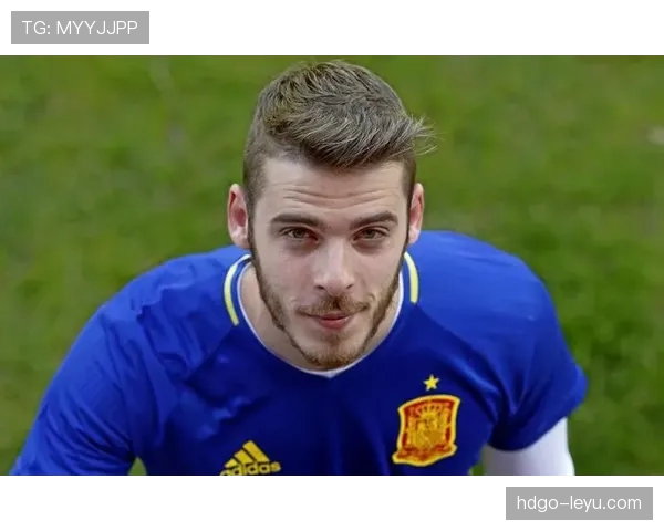 欧本比赛节奏 欧本比赛节奏