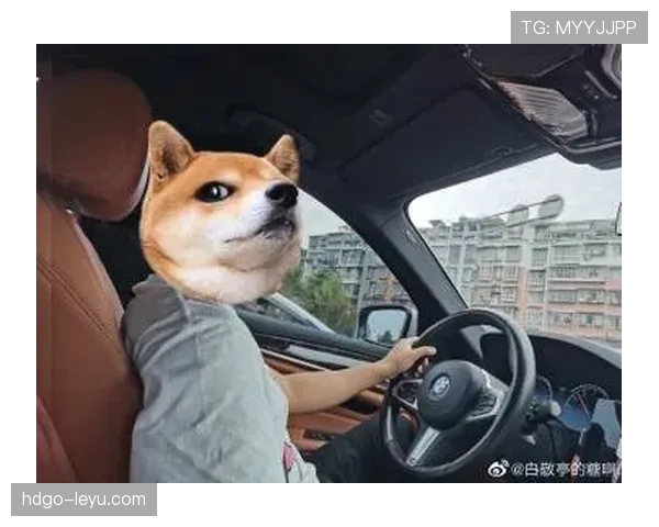 刘洋家的狗吃的都比我一个月工资高